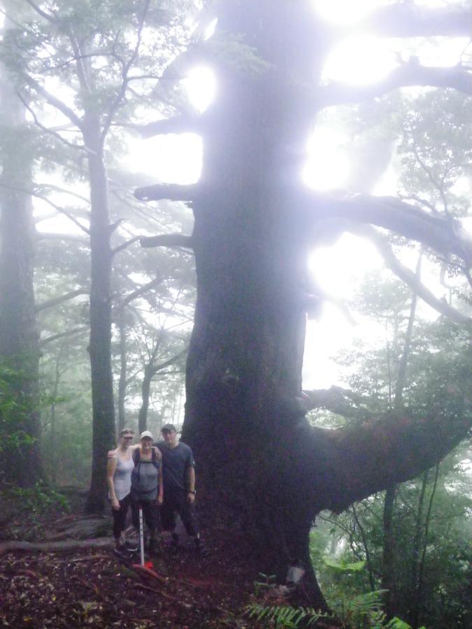 Albergue Kumano Backpackers Tanabe Exterior foto