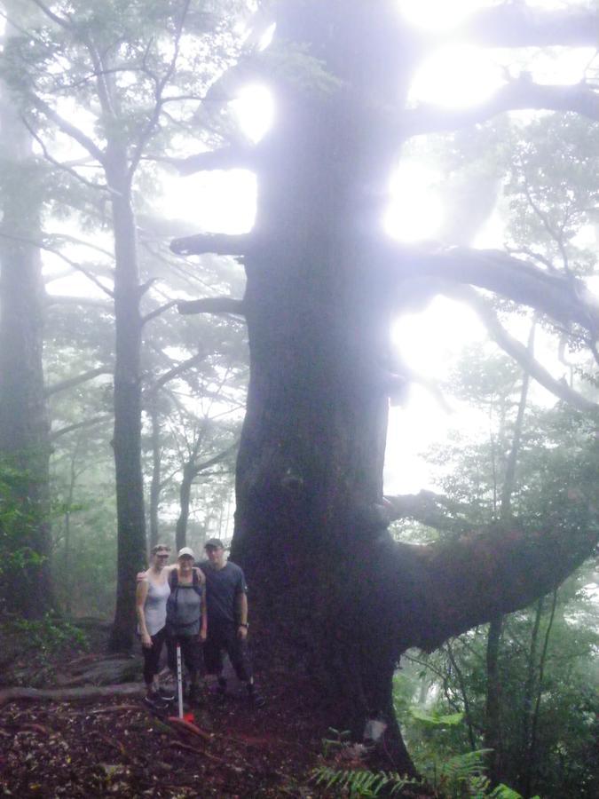 Kumano Backpackers Albergue Tanabe Exterior foto